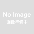 ◎予約品◎1/18　　Oreca 07 - Gibson No.65 Panis Racing 24H Le Mans 2022  J. Canal - N. Jamin - J. van Uitert